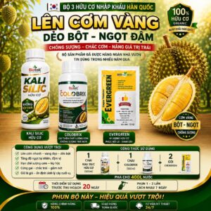 BỘ 3 LÊN CƠM CHỐNG SƯỢNG BIOTEK - TĂNG ĐẬU TRÁI - LÊN CƠM - LÊN MÀU - CHỐNG SƯỢNG