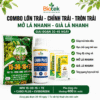 COMBO LỚN TRÁI - CHỈNH TRÁI - TRÒN TRÁI - MỞ LÁ NHANH - GIÀ LÁ NHANH BIOTEK