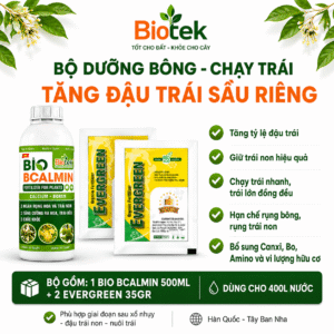 BỘ DƯỠNG BÔNG - CHẠY TRÁI - TĂNG ĐẬU TRÁI dùng cho 400L