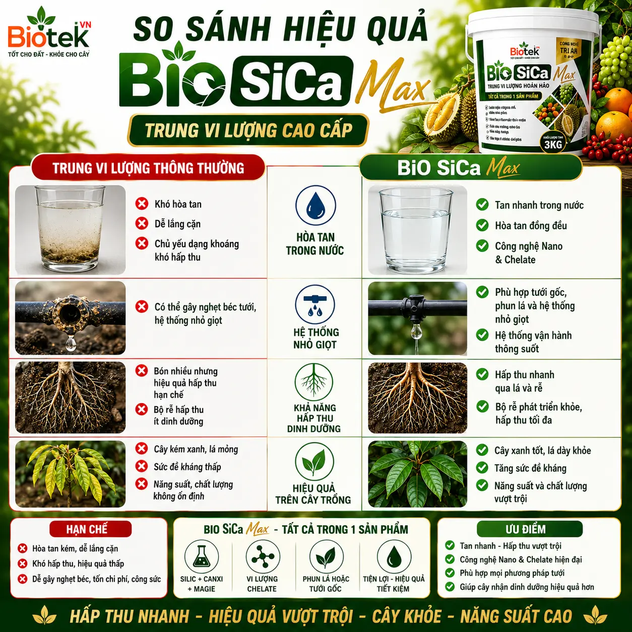 Xô BIO SiCa Max 3kg – Trung Vi Lượng Cao Cấp Cho Cây Trồng - CANXI - SILIC - MAGIE thương hiệu BIOTEK - Ảnh 3