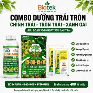 COMBO DƯỠNG TRÁI TRÒN - CHỈNH TRÁI - TRÒN TRÁI BIOTEK