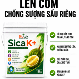 LÊN CƠM CHỐNG SƯỢNG- XÔ SICA K+ 15KG - SILIC-CANXI-KALI - THƯƠNG HIỆU BIOTEK