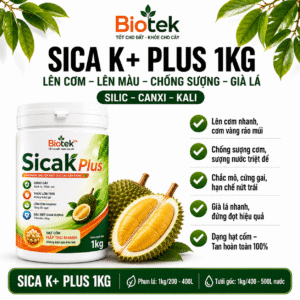 LÊN CƠM - LÊN MÀU - CHỐNG SƯỢNG -GIÀ LÁ SICAK PLUS 1KG - SILIC-CANXI-KALI HIỆU BIOTEK