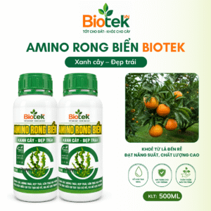 Amino Rong Biển Biotek 500ml – Phân bón hữu cơ hỗ trợ xanh cây, đẹp trái