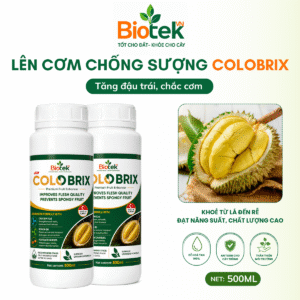 COLOBRIX 500ml – Hỗ trợ lên màu, chắc cơm và chất lượng trái